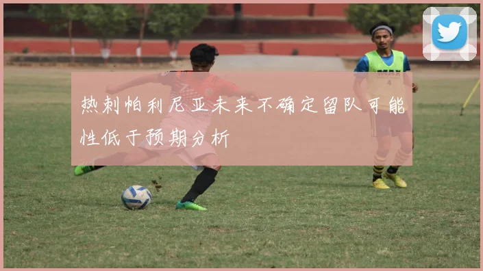 热刺帕利尼亚未来不确定留队可能性低于预期分析
