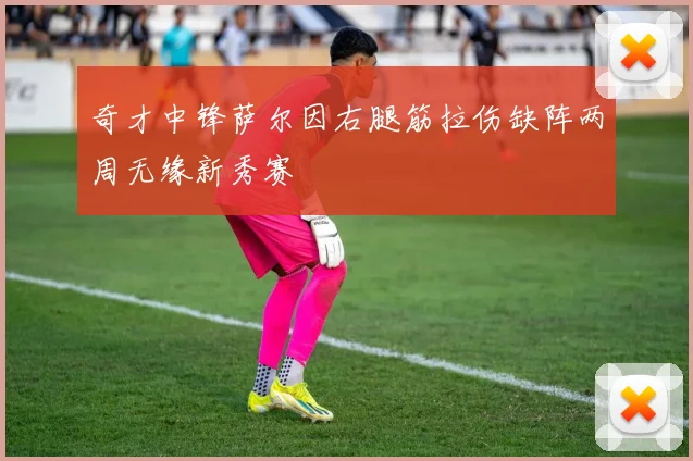 奇才中锋萨尔因右腿筋拉伤缺阵两周无缘新秀赛