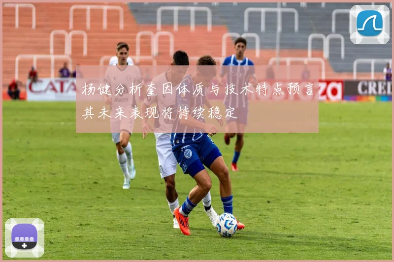 杨健分析奎因体质与技术特点预言其未来表现将持续稳定