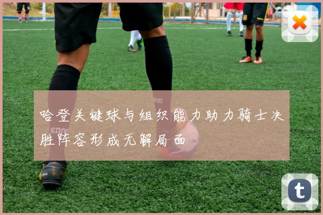 哈登关键球与组织能力助力骑士决胜阵容形成无解局面
