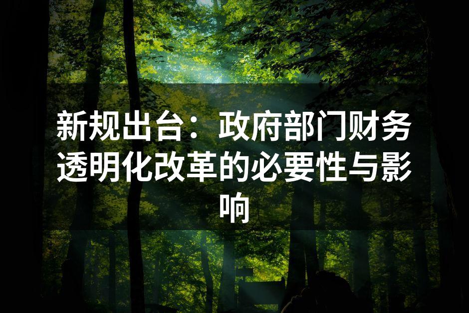 政府财务透明化会议现场