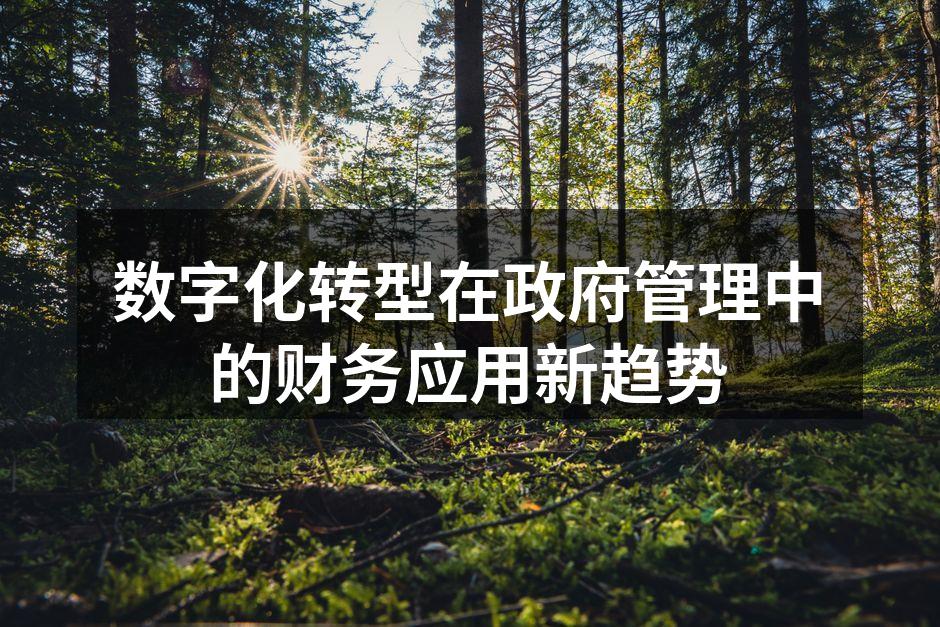 政府财务管理数字化转型示意图
