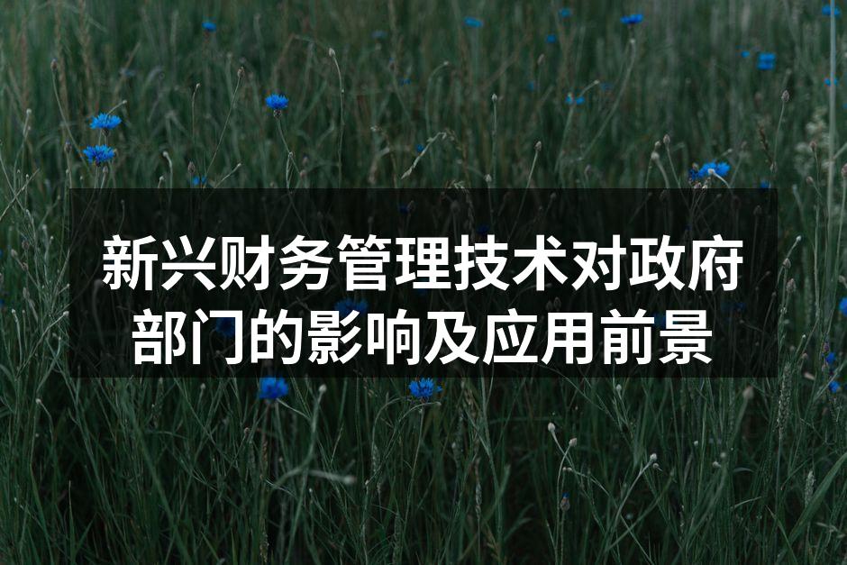 新兴财务管理技术对政府部门的影响及应用前