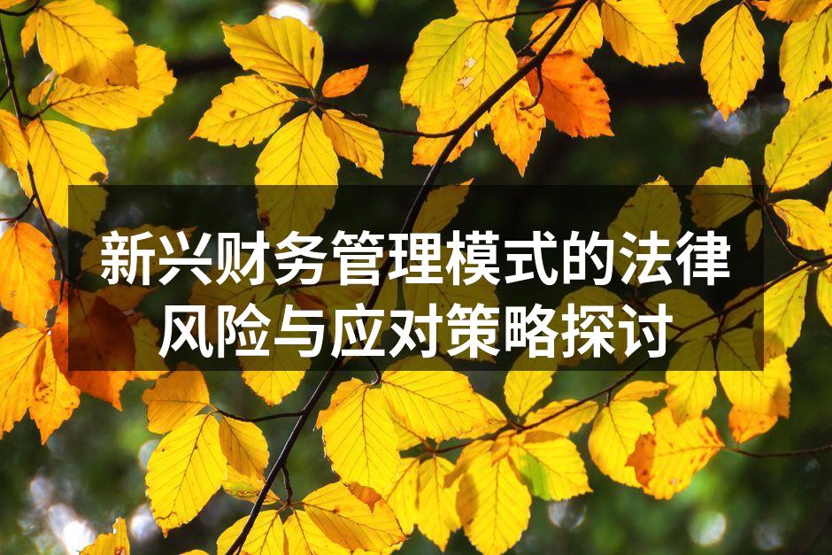 新兴财务管理模式的应用场景