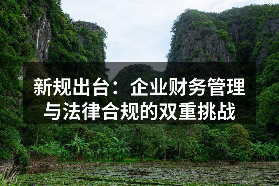 企业财务管理的挑战